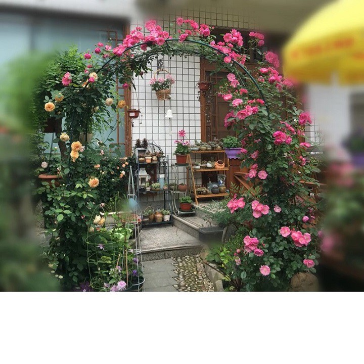 Khung vòm hoa hồng leo màu xanh cao 2,4m rộng 1,4m ngang 40cm làm từ thép ống phi 13mm