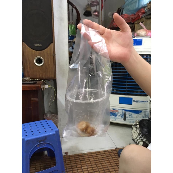 Túi cốc, túi bánh mỳ