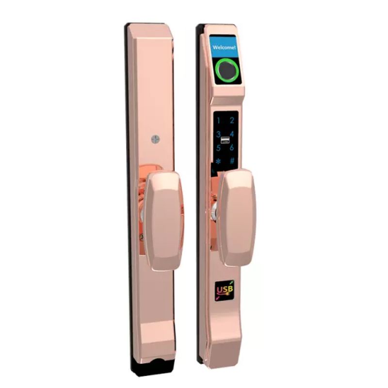 Khóa cửa vân tay Tuya cao cấp