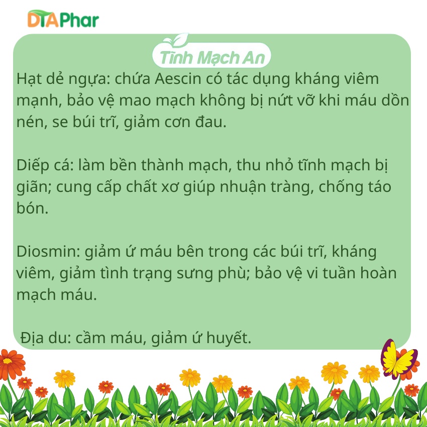 Viên uống nhuận tràng Tĩnh Mạch An DTAPhar cải thiện táo bón, trĩ, tăng sức bền thành mạch Hộp 30 viên
