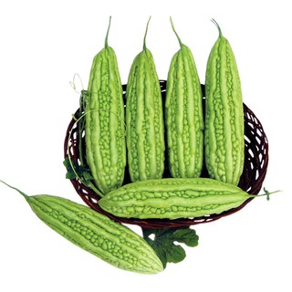 Khổ Qua F1 TN 366 ( 20gr)