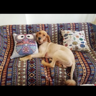 Thảm thổ cẩm Sapa loai 1 - 1m5x 2m