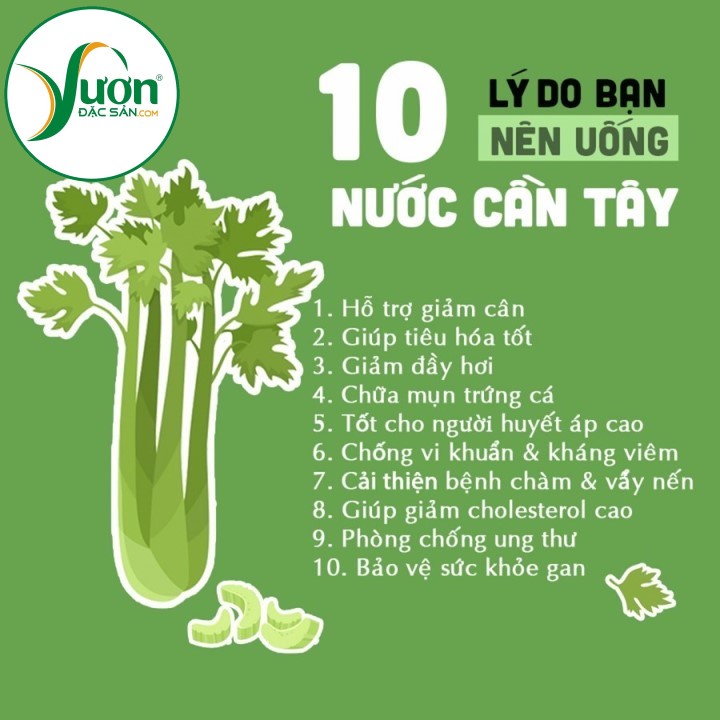 ( Lon 150g ) Bột cần tây hữu cơ nguyên chất Dalahouse bột cần tây sạch cao cấp chính hãng - Vườn Đặc Sản Sài Gòn