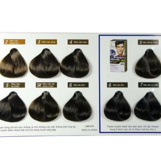 Kem nhuộm tóc bạc SALON de PRO 80gr
