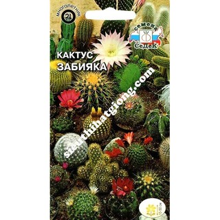 Hạt Giống Xương Rồng Mix (0.05g)