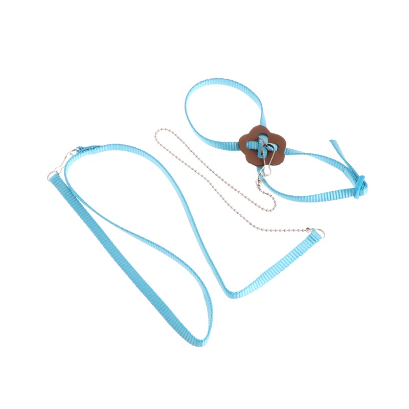 Dây Nylon Huấn Luyện Chim Vẹt Chống Cắn Có Thể Điều Chỉnh Kích Cỡ