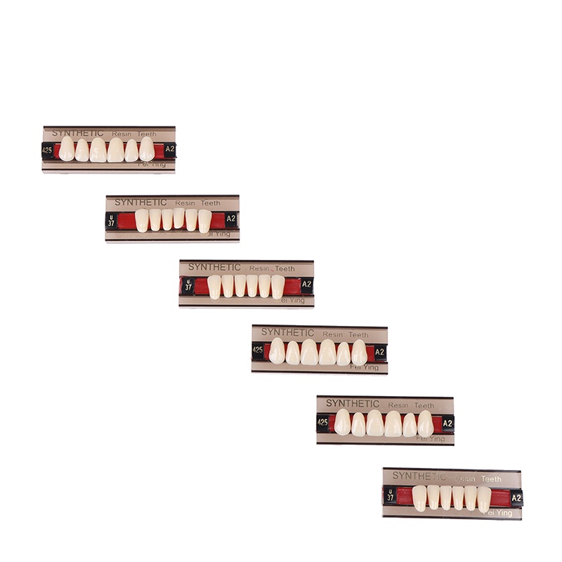 Hộp 84 Hàm Răng Giả Bằng Nhựa Polymer