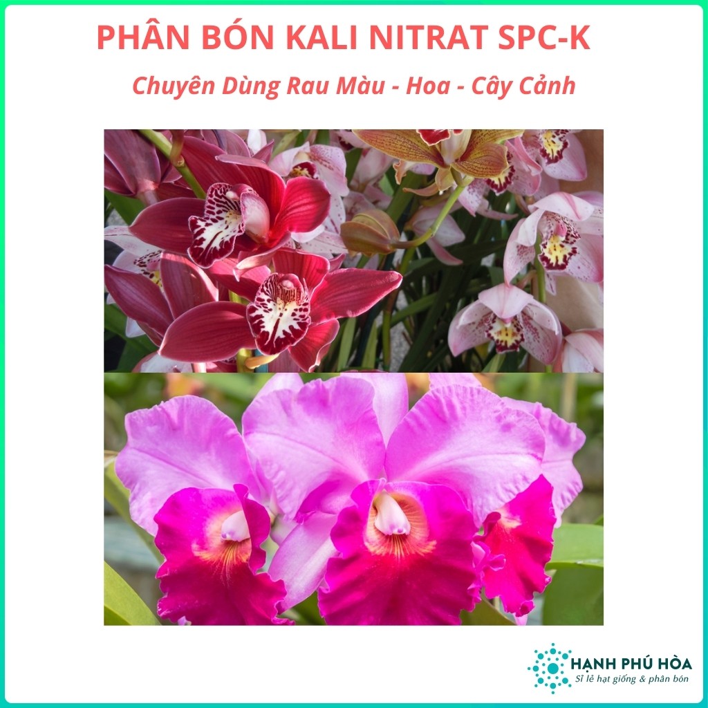 Phân Bón kali Nitrat SPC-K-Chuyên Dùng Cung cấp dinh dưỡng cho Hoa Màu-Hoa-Cây Cảnh