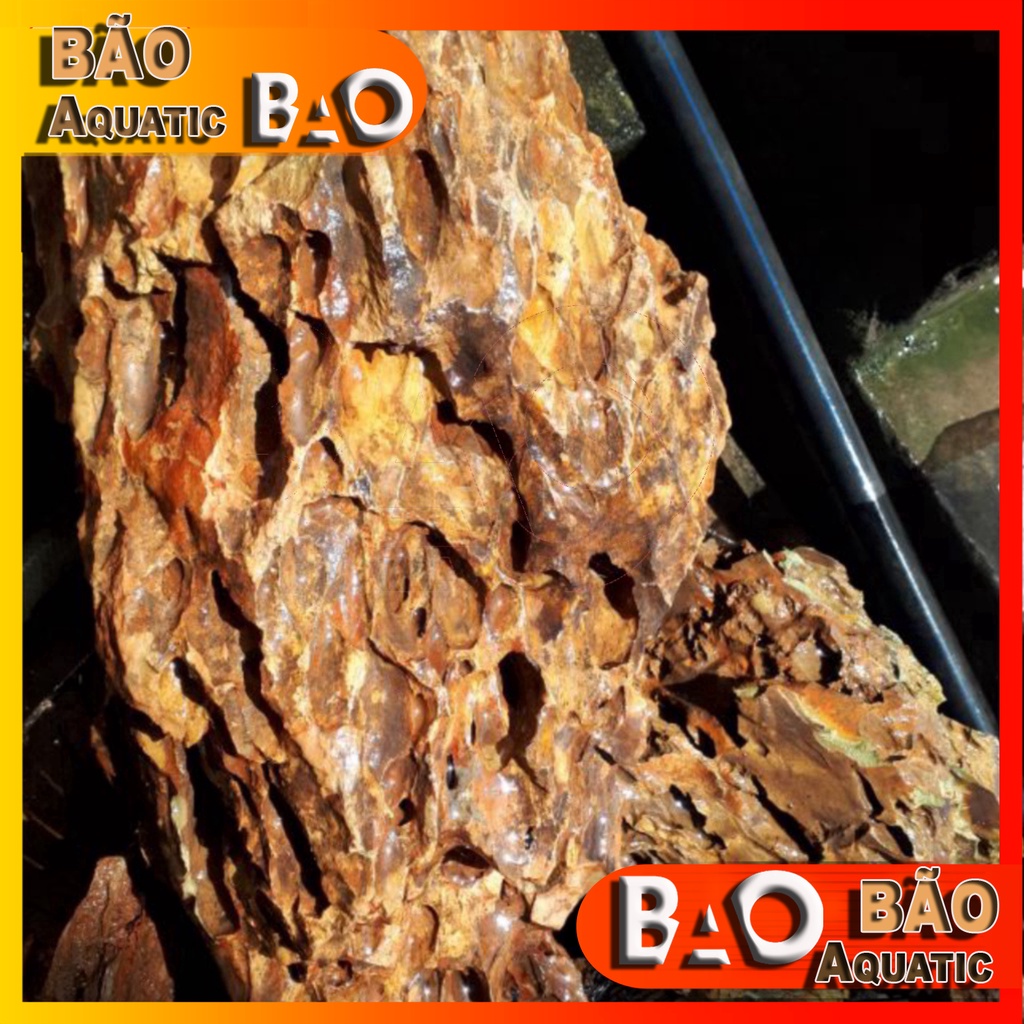 5kg đá tiger Đá trang trí bể cá