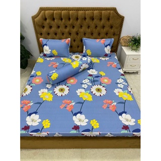 Sét gối và ga chun chần bông