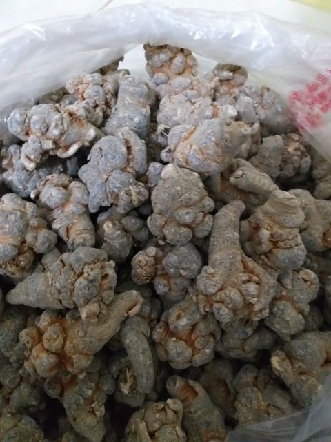 Củ tam thất bắc hàng 50 củ 1kg giá như bán buôn ( đặc sản Hà Giang)