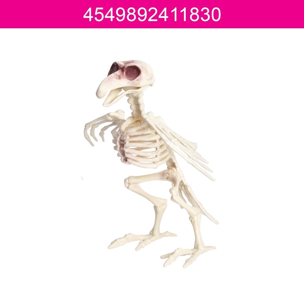 Daiso Halloween Mô hình bộ xương con chim