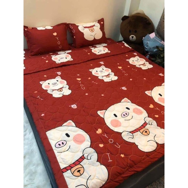 Bộ chăn hè trần bông ga gối 5 món poly cotton Hàn Quốc hàng loại 1