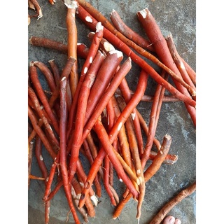 Sâm Cau Đỏ- 1 set/ 2kg- thaoduocsachdaklak