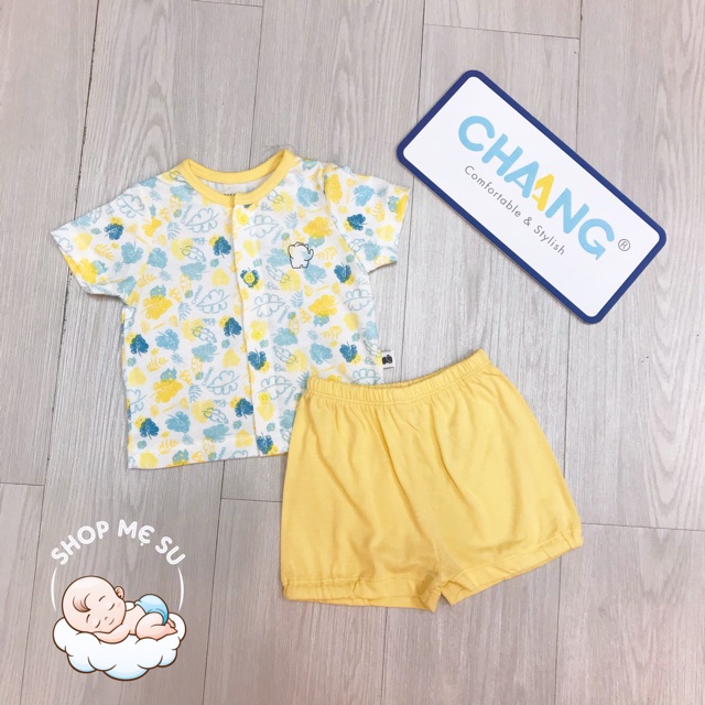 Bộ cúc giữa chaang