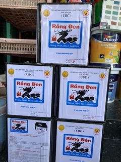 Chống thấm rồng đen