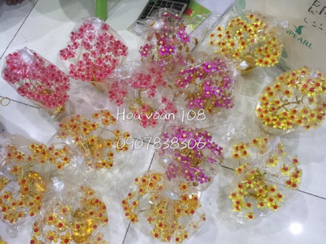 Gốc cây đồng tiền 3 tầng se sáp KT
