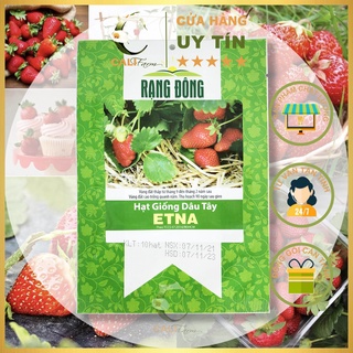 Hạt giống dâu tây etna đỏ siêu trái, thơm ngon