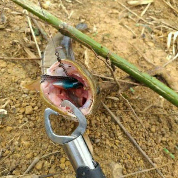 Mồi Câu Cá Sắt Orochi, Fishen, R45, PL456 Full Lưỡi