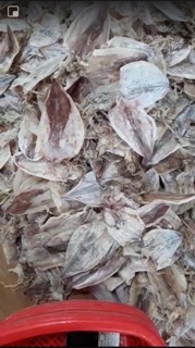 Combo 7 con mực khô mini loại ngon