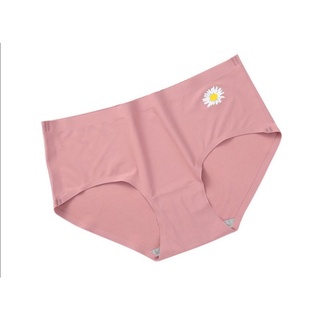 Combo 10 quần đúc hình cúc hoạ mi