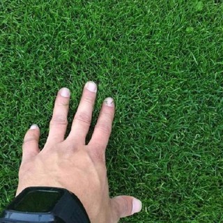 HẠT CỎ TRỒNG THẢM BERMUDA - GÓI 10 GRAM