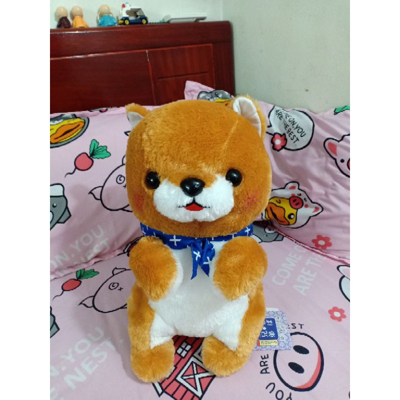 Chó bông Shiba new dáng đứng