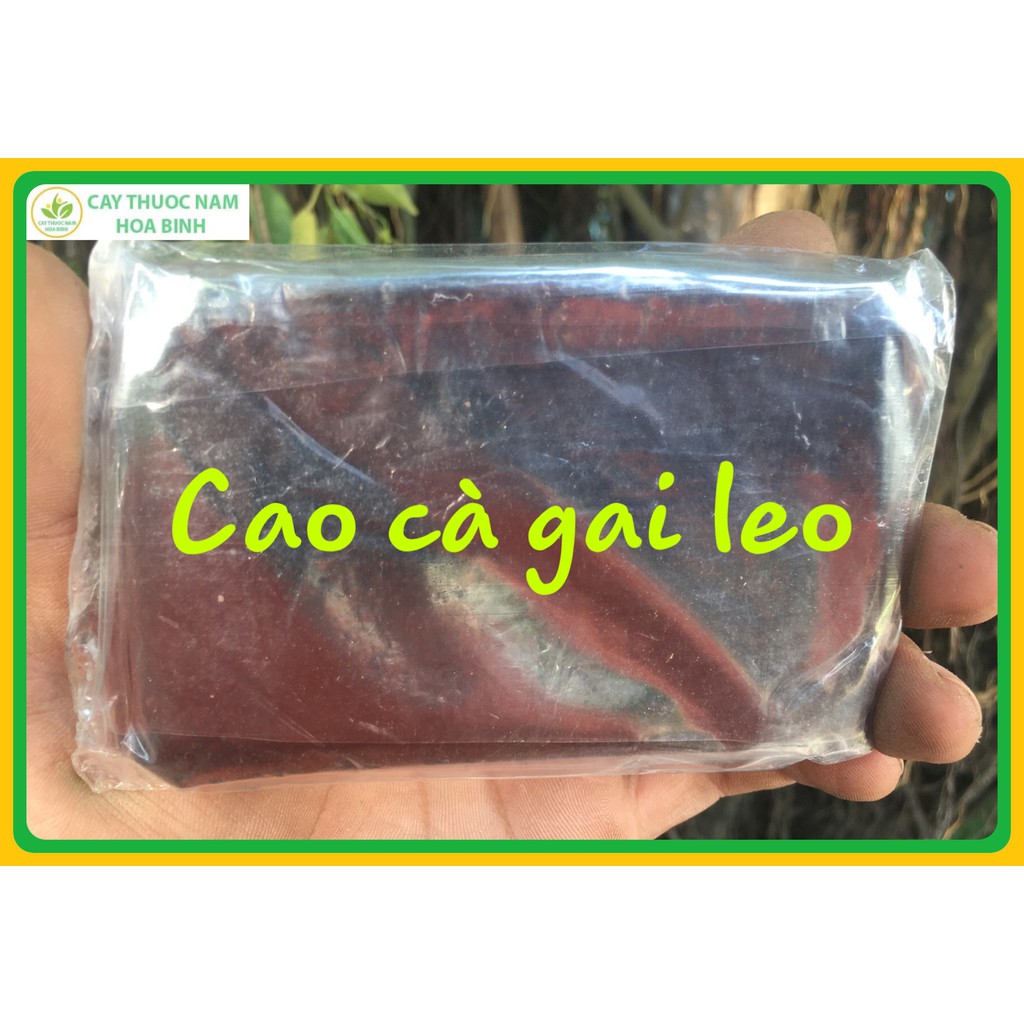 [NHÀ TỰ NẤU] nguyên miếng 100g cao cà gai leo nguyên chất GIẢI ĐỘC GAN, GIẢI RƯỢU GMP WHO | BigBuy360 - bigbuy360.vn