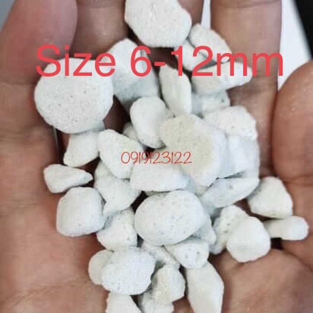 Đá PERLITE - 200g đủ size
