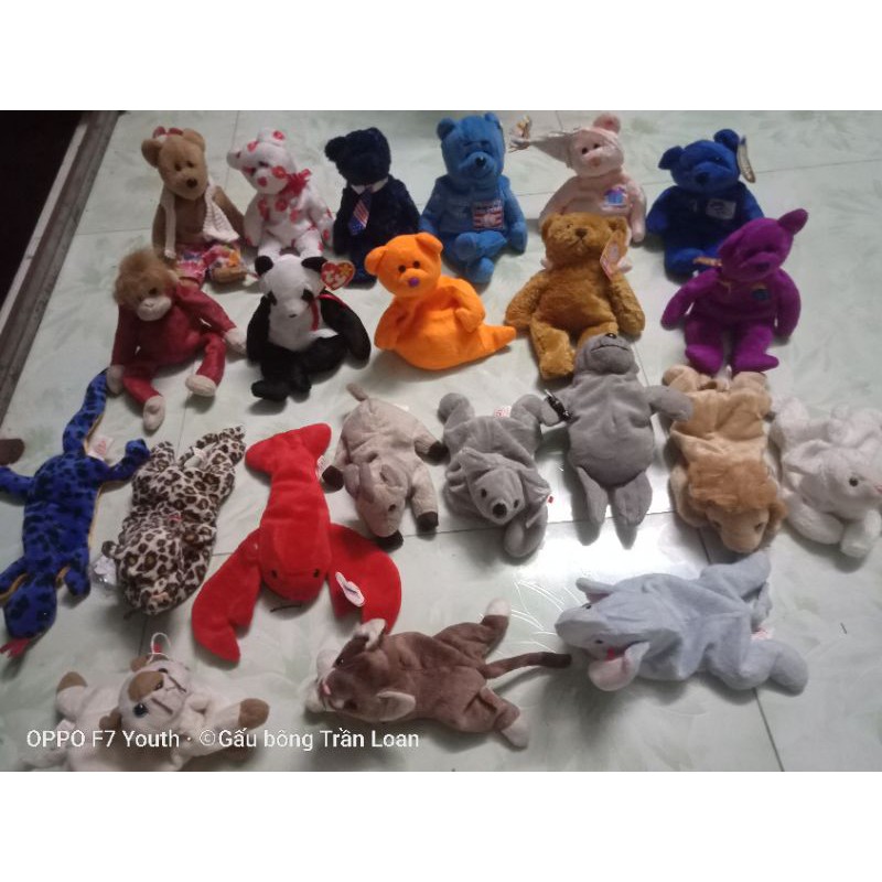 Gấu bông có hạt nhựa bên trong