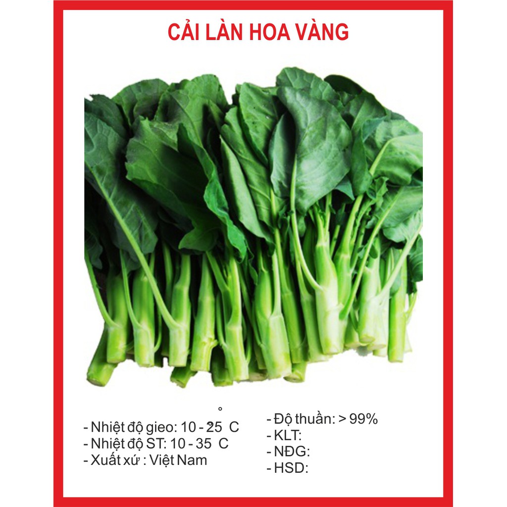 Hạt Giống Cải làn hoa vàng 10gr ~2000 Hạt