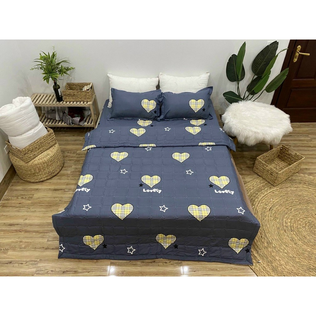 Bộ ga gối cotton poly (được chọn mẫu)