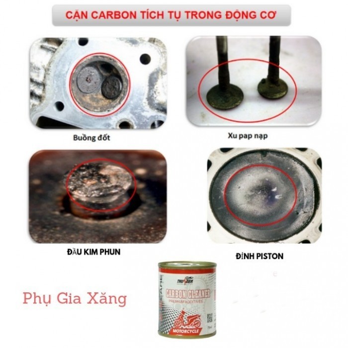 Dung Dịch Phụ Gia Vệ Sinh Buồng Đốt Kim Phun Thunder 75ml