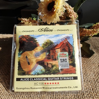 DÂY ĐÀN CLASSIC ALICE 106A