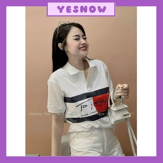Áo polo tommy- yesnow