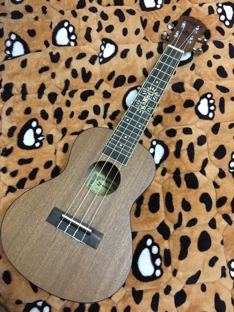 ( MUA 1 TẶNG 5) ĐÀN UKULELE CONCERT VIỀN ĐEN