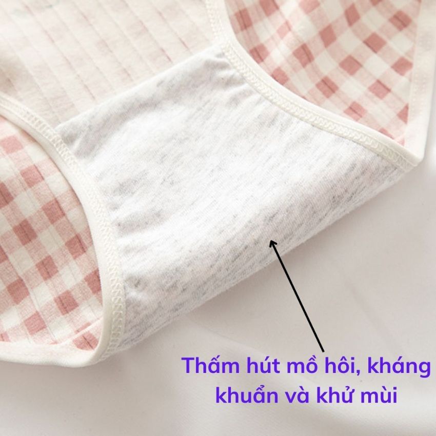 Quần lót nữ cotton Cao Cấp kháng khuẩn xuất nhật, họa tiết dễ thương L2119