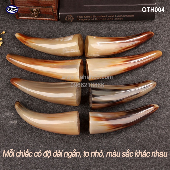 Chóp sừng Bò Châu Phi vật phẩm phong thủy - Mang lại giàu sang, sung túc