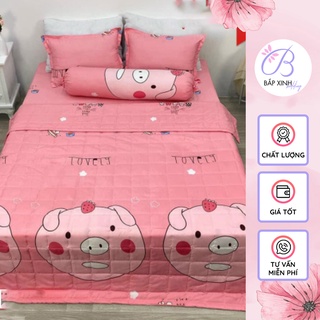 Bộ chăn hè ga gối cotton poly combo 5 món nhiều mẫu lựa chọn