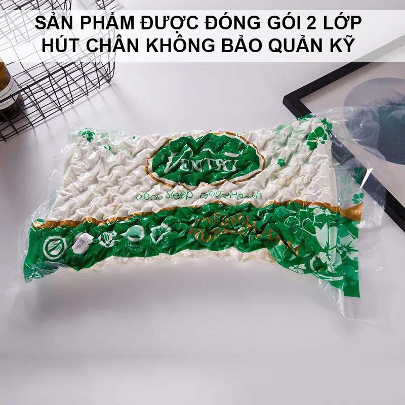 Gối cao su non Ventry