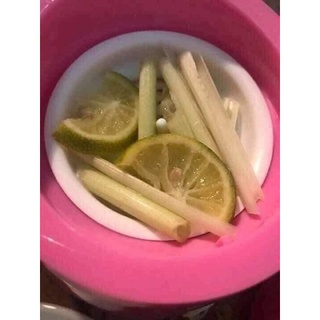 Máy Xông Mặt Hoa Quả Thảo Dược Magic Bullet
