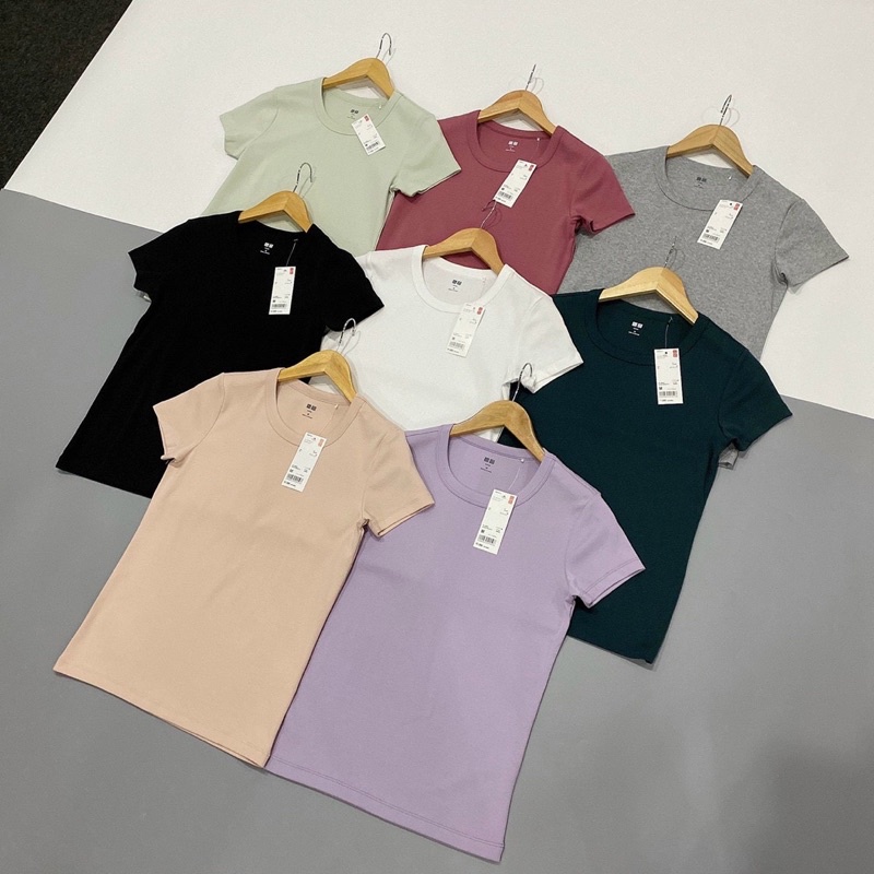 Pull cotton dẻo CỔ TIM nhiều màu