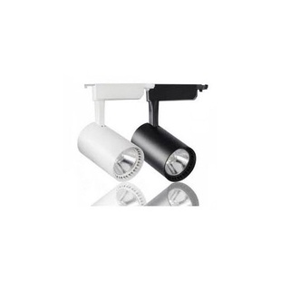 Đèn LED Rọi Ray (RT-04/RĐ-04) Asia Lighting