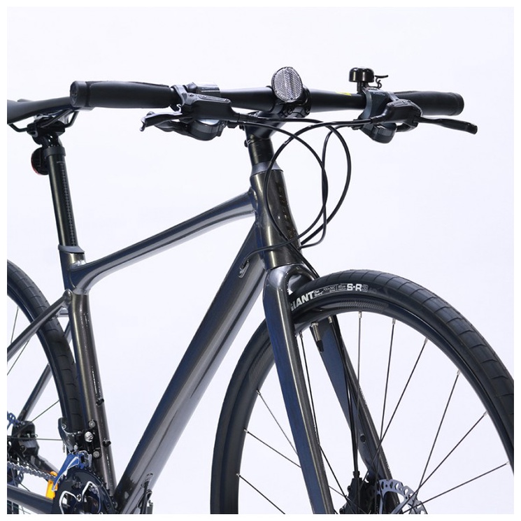 Xe đạp đường phố Touring Giant Fastroad SL3 - 2021