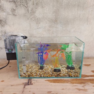 Bể cá mini 24 cm với 4 món (bể 24, sỏi nền, máy lọc, 3 cây nhựa mini)