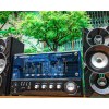 Loa Vi Tính CAO CẤP 3159