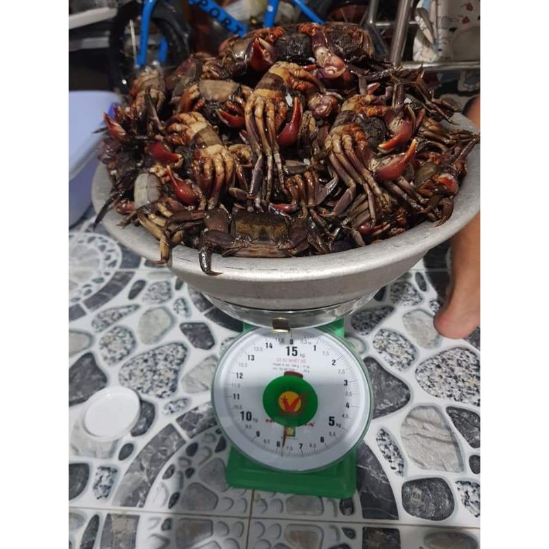 [HCM] 1/2KG BA KHÍA MUỐI NGUYÊN CON.