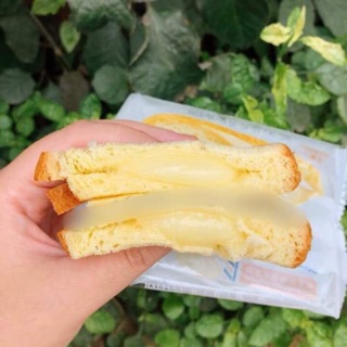 Bánh sanwich hosh TPHCM