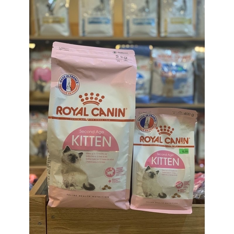 Hạt cho mèo 4-12 tháng Royal Canin Kitten 36