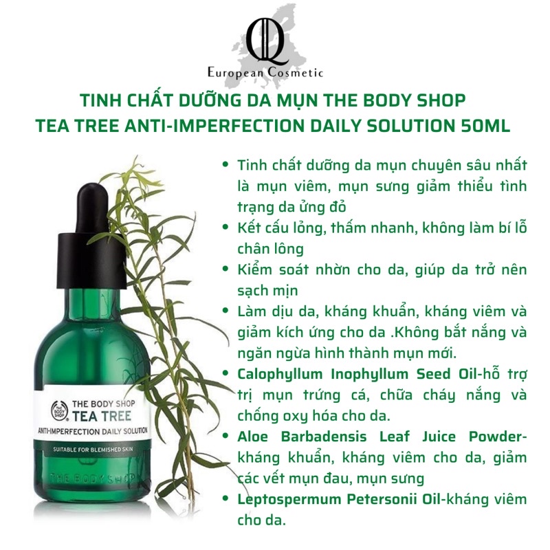 Serum dưỡng da mụn tea tree the body shop anti imperfection daily solution 50ml